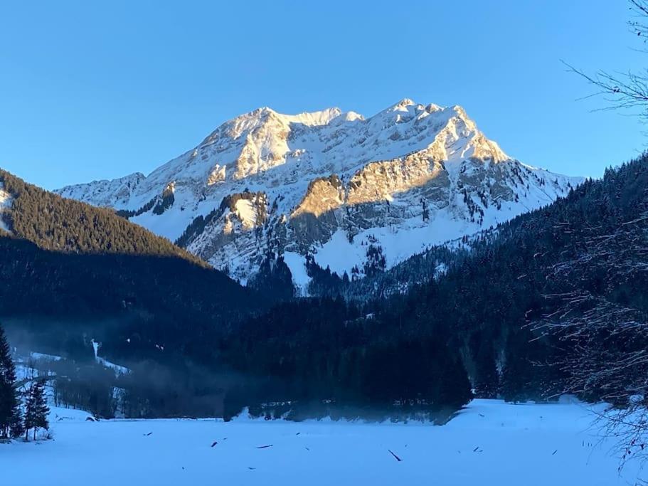 Le Bel Appartement De Montagne Бельво Экстерьер фото