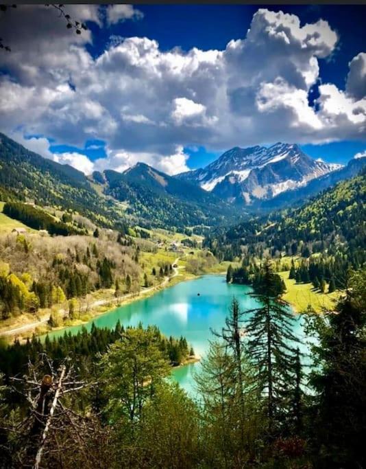 Le Bel Appartement De Montagne Бельво Экстерьер фото