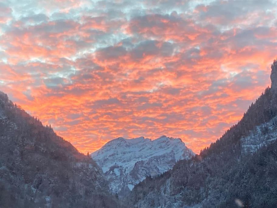 Le Bel Appartement De Montagne Бельво Экстерьер фото